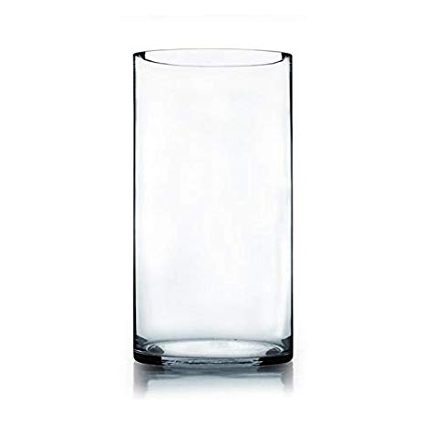WGV Cylinder Vase, Width 6", Height 12", Clear Glass Floral Container, Candle Holder for Wedding Centerpiece, Party Event, Home Office Decor, 1 Piece
