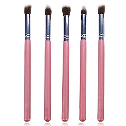 Dongtu New Pro MakeUp Cosmetic Set Eyeshadow Foundation Wood Brush Blusher Tools 5 PCs Makeup Sets