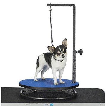 Master Equipment Pet Grooming Table for Pets