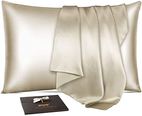 Winjoy Silk Pillowcase for Hair and Skin, 25 Momme 100% Natural Mulberry Silk Pillowcases with Hidden Zipper,Soft Breathable Both Sides Pure Silk (Beige, Queen)