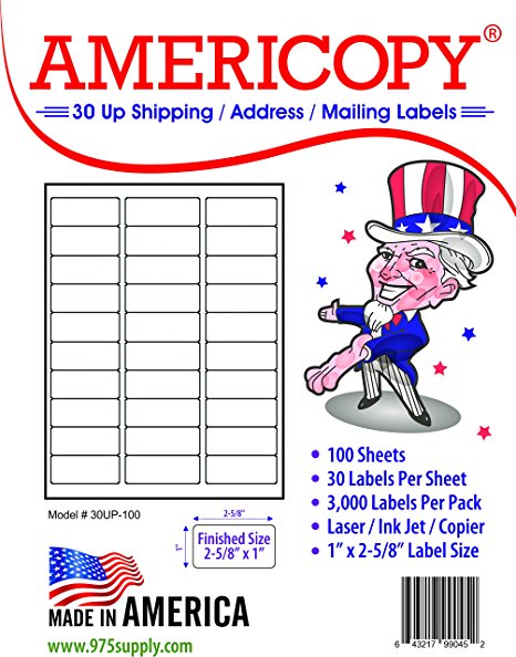 30 Up Labels - Address Labels - Americopy - Shipping / Mailing Labels - 1" x 2-5/8" Label Size - MADE IN THE USA … (3,000 Labels)