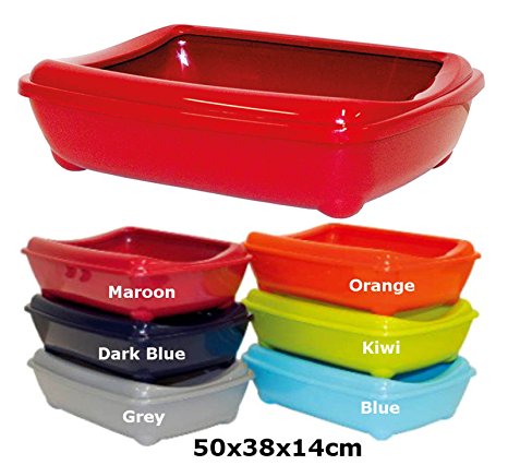 Kiwi Cat Large Litter Tray With Rim 50x38x14cm 6 Colours Available Quality Box Pan Toilet Loo