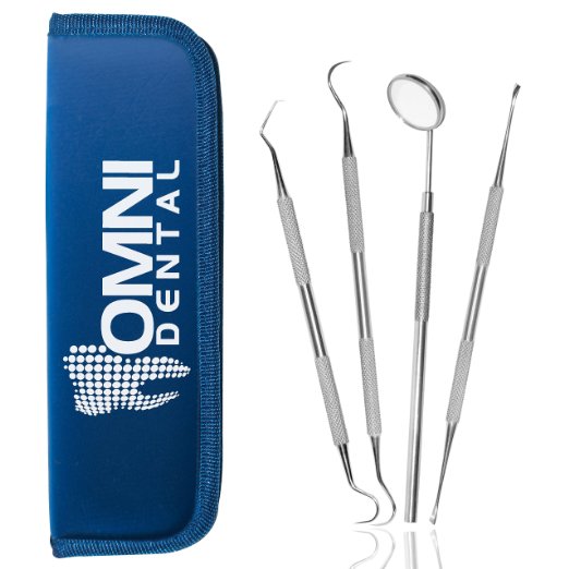 Omni Dental Hygiene Kit - 4 Dentist Grade Tools For Both Personal And Pet Use - Includes Stainless Steel Tarter Remover, Dental Pick, Dental Scaler, And Mouth Mirror - Free Protective Case Included