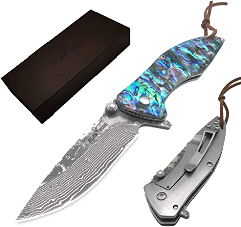 ALBATROSS Pocket Knife Abalone Seashells 7.25" Modern Damascus Steel Knife Frame Lock Folding Knife Gift Box - HGDK021B