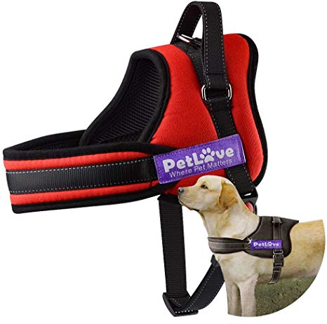 Pet Love Dog Harness, Soft Leash Padded No Pull Dog Harness with All Kinds of Size (Small, Red)
