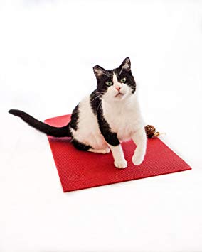 Feline Yogi Cat Yoga Mat with Cat Toy. Cat Scratcher, Bed, Activity Play Mat with Catnip Toy.
