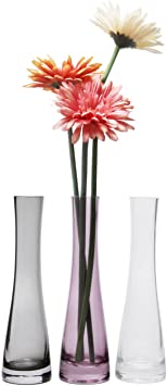 ComSaf 8.5 Inch Small Bud Vase, Glass Flower Vase for Home Decor Centerpieces Gift, Pack of 3