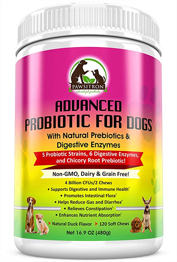 Advanced Probiotics for Dogs with Prebiotics   Digestive Enzymes for Overall Wellness, Digestion, Bad Breath, Diarrhea Relief, Constipation - Healthy Dog Treats, Non GMO, Grain Free, 120 Soft Chews