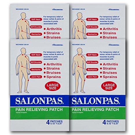 Salonpas Pain Relief Patches, Large (Pack of 3 (12 Patches Total))