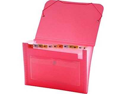 Lion Clear-Line 13-Pocket Poly Expanding File, Transparent Pink (94400-PK)