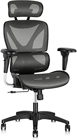 Gabrylly Ergonomic Office Chair, Large Mesh Chair with Lumbar Support - Double Back, Adjustable Headrest & 2D Armrests, High-Back Home Desk Chair with Tilt Function, Swivel Computer Executive Chair