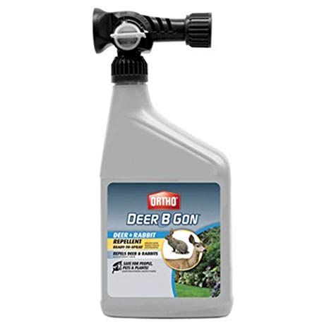 Ortho Deer B Gon Deer and Rabbit Repellent Read-To-Spray Hose End Attachement, 32-Ounce