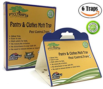 Pantry and Clothes Moth Trap With Natural Pheromone Attractant Safe Non-Toxic with No Insecticides (6, Yellow)