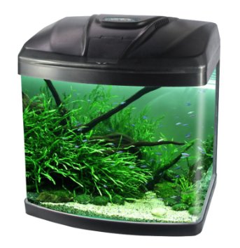 15L Aquarium Fish Small GlassTank Fresh Water With LED Light N Filter Black (15L)