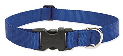 LupinePet 1 Inch Adjustable Dog Collar for Medium to Large Dogs