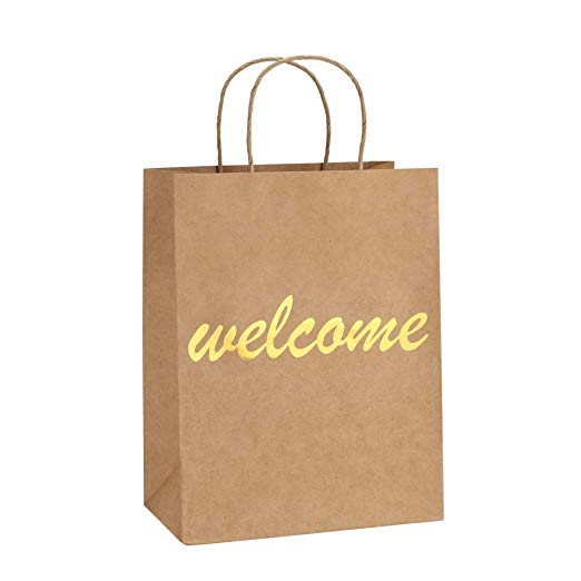 BagDream Brown Kraft Paper Welcome Gift Bags Bulk with Handles 25Pc, 8x4.25x10.5" Shopping Gifts Wedding Bags, Good for Packaging, Retail, Party, Craft, Recycled, Business, Goody and Merchandise Bag