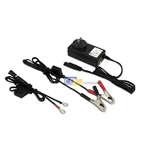 Coming Data DC 6V 12V 24V Lead Acid Battery Charger w/ Quick Connect Alligator Clips & Ring Terminal Connector (UL Certified)