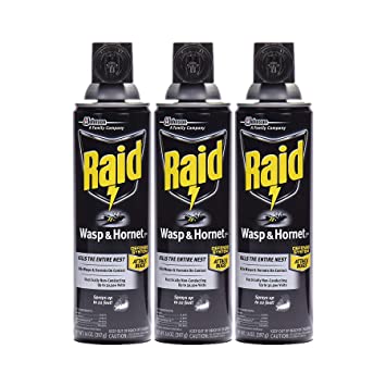 Raid Wasp and Hornet Killer, 14 OZ