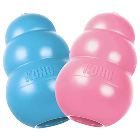 Kong Puppy Dog Toy (Small) - Color May Vary