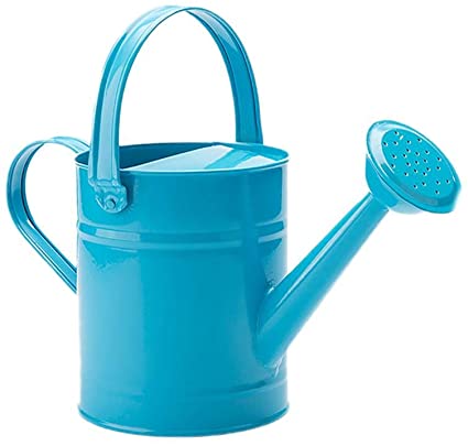 Cratone Metal Watering Can Garden Watering Bucket for Indoor Outdoor Plants Blue Color