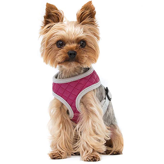 ZuGoPet Quilted Harness (Black, Extra Large 24"-32")