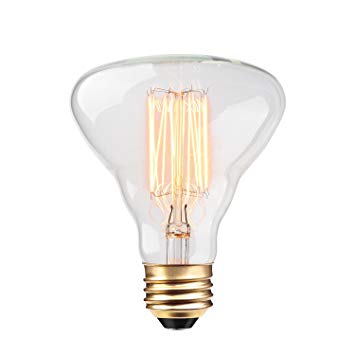 Globe Electric 84654 Designer 40W Labo Vintage Bulb