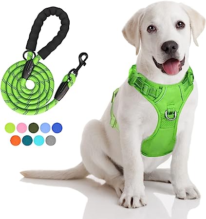 PoyPet No Pull Dog Harness and 5 Feet Leash Set, Release on Neck Reflective Adjustable Pet Vest, Front & Back 2 D-Ring and Soft Padded Pet Harness with Handle for Small to Large Dogs(Green,S)