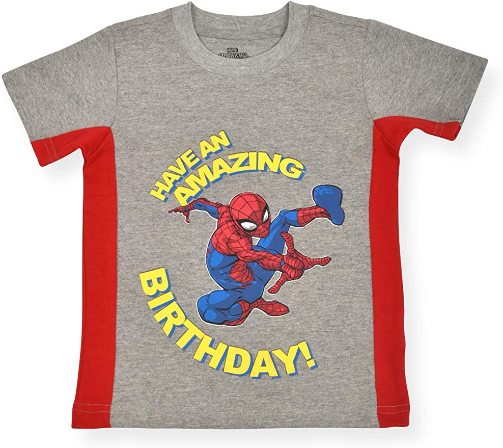 Marvel Boy's Spider-Man Pullover Birthday Tee Shirt, 100% Cotton