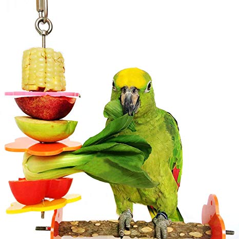 RYPET Bird Skewer,Bird & Small Animals Stainless Steel Fruit Vegetable Holder for Cages