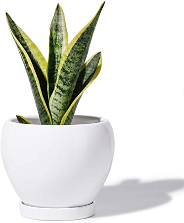 POTEY 052501 Ceramic Plant Pot Planter - 5.6 Inches White Planter for Indoor Plants Flower Succulent with Drainage Hole & Saucer