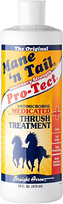 Mane 'n Tail Pro-Tect VETERINARY STRENGTH Antimicrobial MEDICATED Thrush Treatment