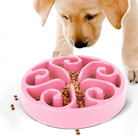 JASGOOD Slow Feeder Dog Bowl New Arriving Fun Feeder Slow Feeding Interactive Bloat Stop Dog Bowls