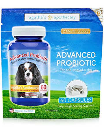 Advanced Probiotic 2 Month Supply - 15 Billion CFU's per Capsule Therapeutic High Dose - Build Immune Systems - Digestion - IBS - Allergies - Ear Problems - Tear Staining - Coat & Skin Problems
