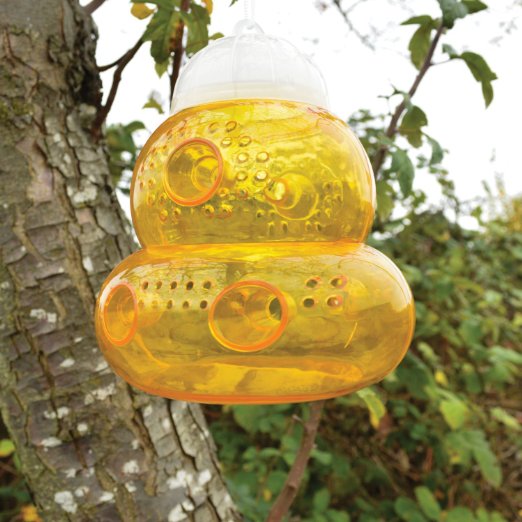 Seicosy (TM) Non-toxic Wasp Trap, Sting Free, Trap Bee, Wasp, Hornet, Yellow Jacket, Fruit Fly and More