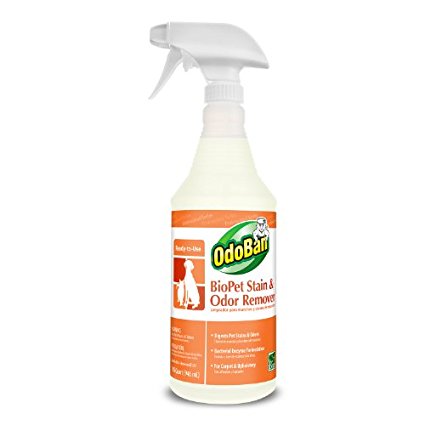 OdoBan 926262-Q12 RTU BioPet Stain and Odor Remover