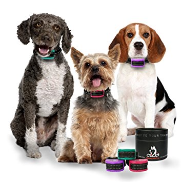 TEAL | PURPLE | PINK Bark Collars by Our K9 – Sound or Ultrasonic & Humane Adjustable Vibration or Shock. Rechargeable Bark Collar - Rubber Safety Prongs - New 2018 Safety protocols Model 10 – 65lb