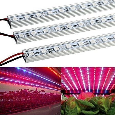 XJLED 10W 36-LEDs 12VDC LED Grow Strip Bar Light Plant Grow String for Indoor Plant Growing Seeding Hydroponics Greenhouses (5pcs, 1/2meter, red 660nm and blue 445nm)