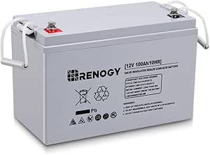 Renogy Deep Cycle AGM Battery 12 Volt 100Ah, 3% Self-Discharge Rate, 2000A Max Discharge Current, Safe Charge Most Home Appliances for RV, Camping, Cabin, Marine and Off-Grid System, Maintenance-Free