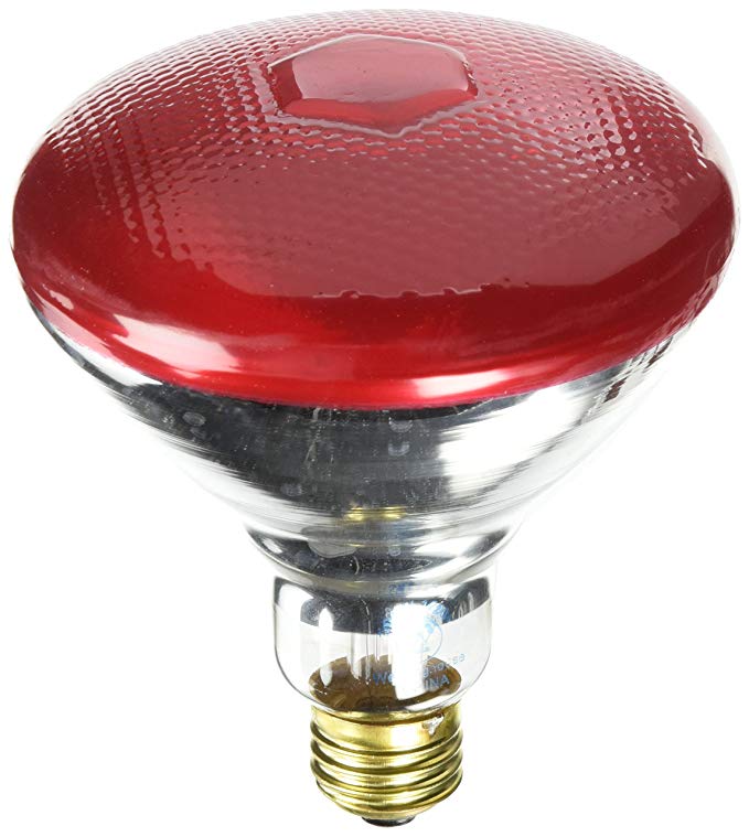 Westinghouse Lighting 0441000, 100 Watt, 120 Volt Incandescent BR38 Light Bulb-2000 Hours, 1 Pack, Red