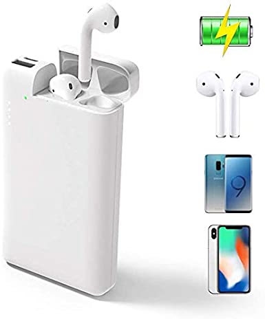 ATETION Power Bank 2 in 1 10000mAh Portable Charger USB Type C External Battery with Charging Case Compatible for AirPods iPhone Samsung Galaxy HTC Phone Tablet, White