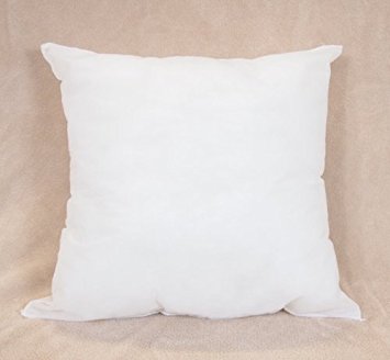 17x17 Pillow Form Insert for Throws