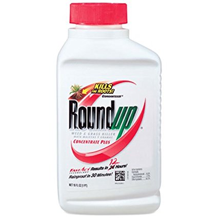 Roundup Weed and Grass Killer Concentrate Plus, 16-Ounce