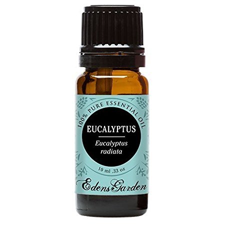 Eucalyptus Radiata 100% Pure Therapeutic Grade Essential Oil by Edens Garden- 10 ml (1/3 oz)