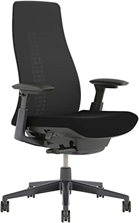 Haworth Fern High Performance Office Chair with Ergonomic Innovations and Flexible Mesh Back (Coal/Without Lumbar Support)
