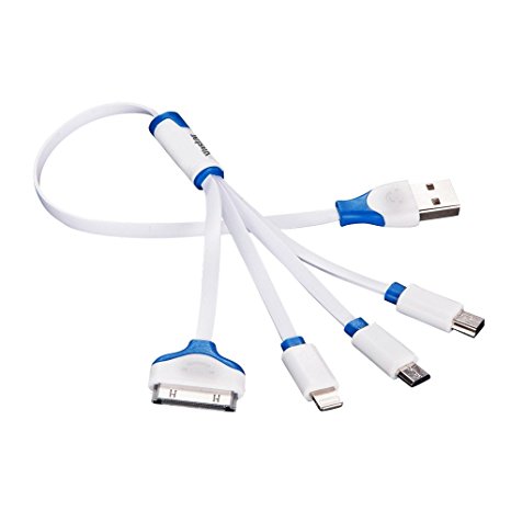 Vastar Premium 4 in 1 Multiple USB Charging Cable Adapter Connector with Micro USB / Mini USB Ports for iPhone 6, 5, 4, iPad 4,3,2,Air,Galaxy S4, S5,Nexus 5, and More