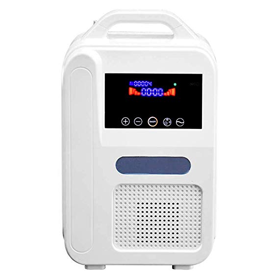 TTLIFE Portable Home O2 Concentrator 1L/Min O2 Generators Air Purifier with Car Adapter 110V