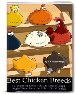Best Chicken Breeds: 12 Types of Hens that Lay Lots of Eggs, Make Good Pets, and Fit in Small Yards (Booklet)