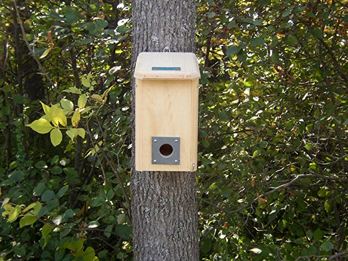 Coveside Small Winter Roost. Safe Bird House for Protection from Predators and Cold Weather. Made in the USA.