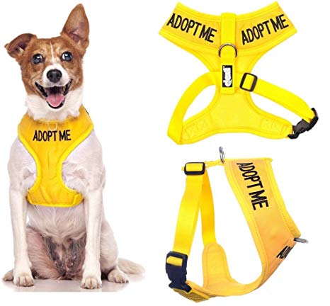Dexil Limited Adopt ME (I Need A New Home) Yellow Color Coded Non-Pull Front and Back D Ring Padded and Waterproof Vest Dog Harness Prevents Accidents by Warning Others of Your Dog in Advance