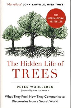 The Hidden Life of Trees: The International Bestseller – What They Feel, How They Communicate